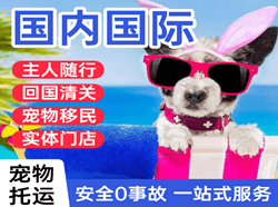 右旗巴丹吉林航空货运国际宠物托运 【国